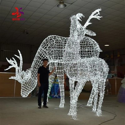 חיות אייל מוטיב אור