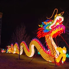 פנסים סיניים מותאמים אישית דרקון ענק לשנה החדשה הסינית